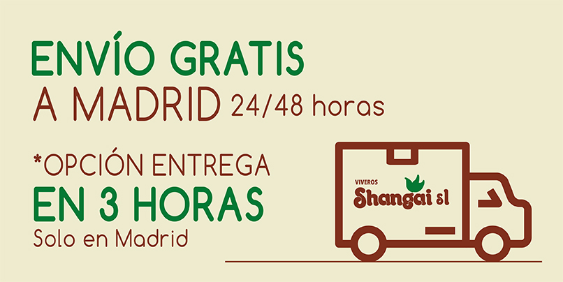 Transporte Gratis Madrid