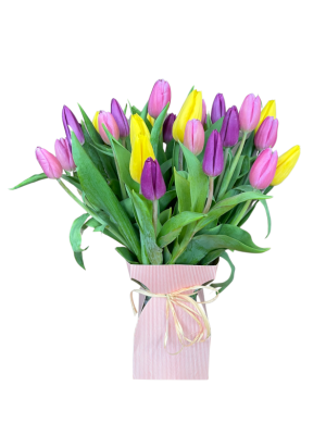 Ramo de 30 tulipanes variados