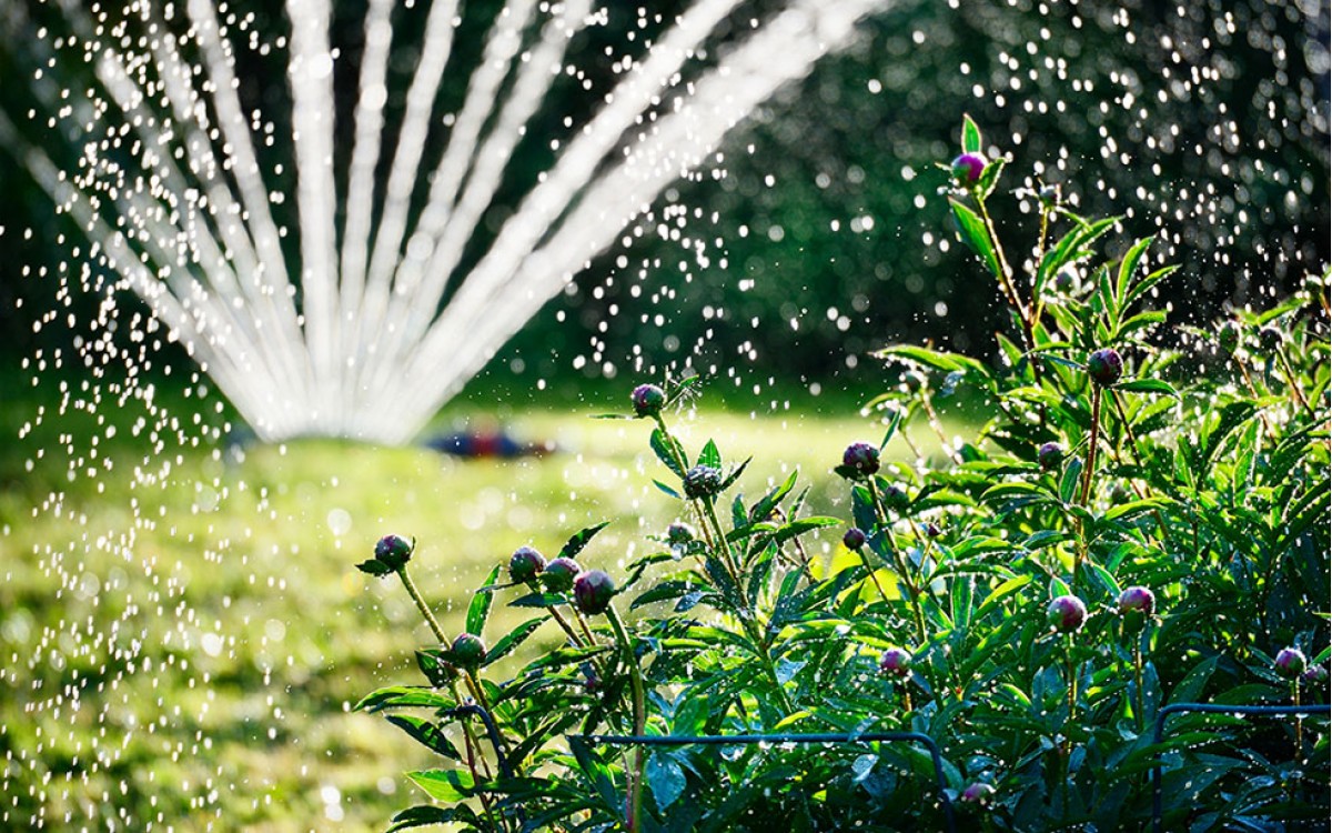 Como automatizar el riego de un Jardin o de un huerto