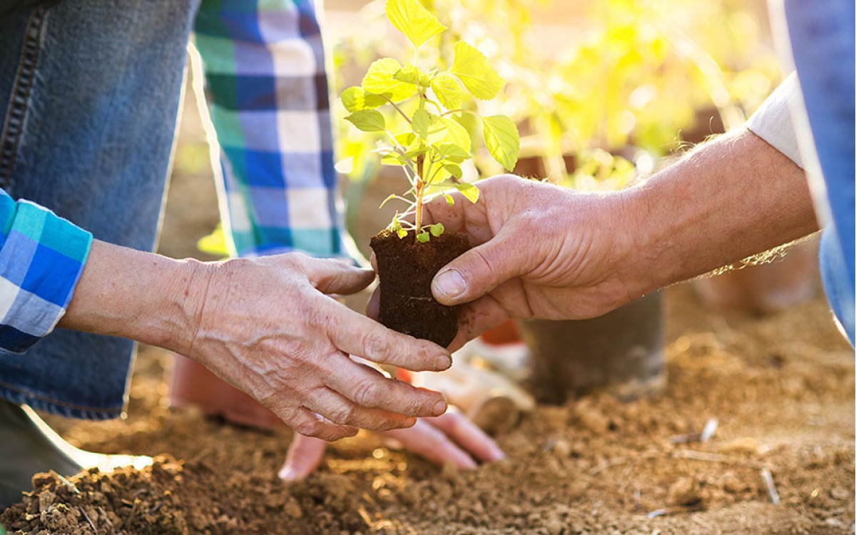 La Jardinería y la arthritis