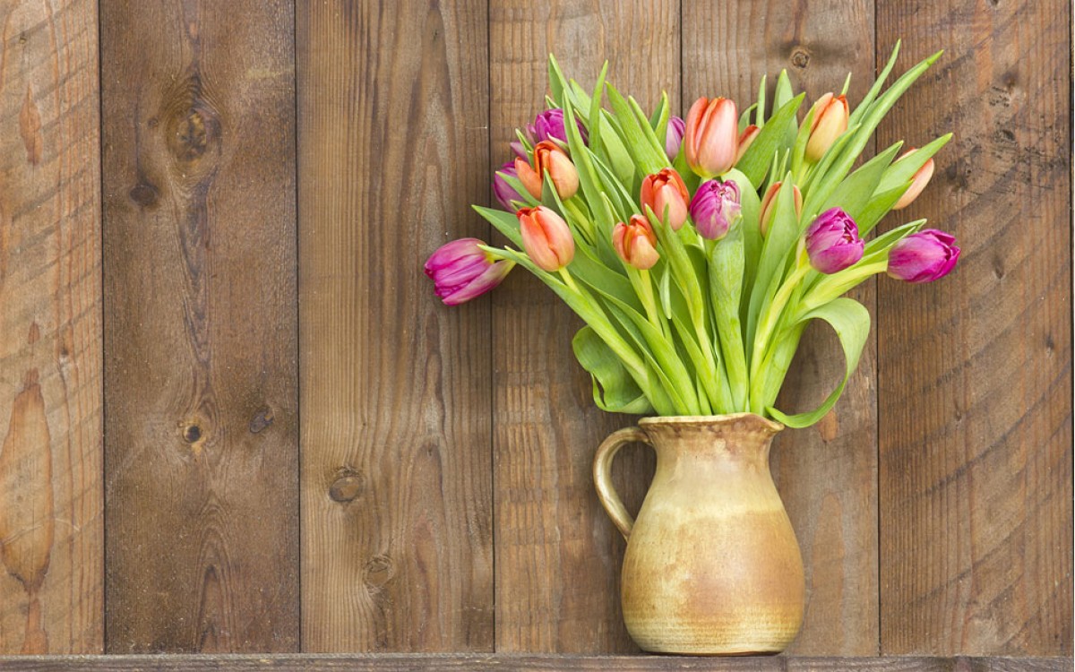 Regalar un Jarrón de Tulipanes