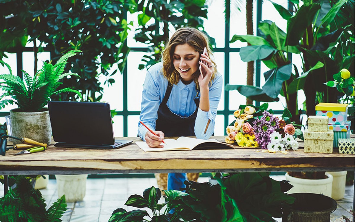 Venta de plantas por internet