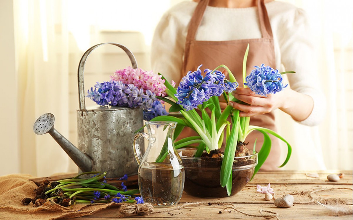 Como hacer centros de plantas