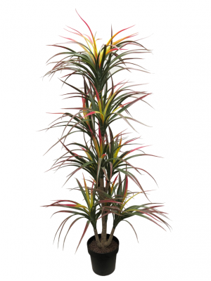 Dracaena tricolor artificial de 1,60 m