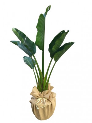 Strelitzia  en arpillera 