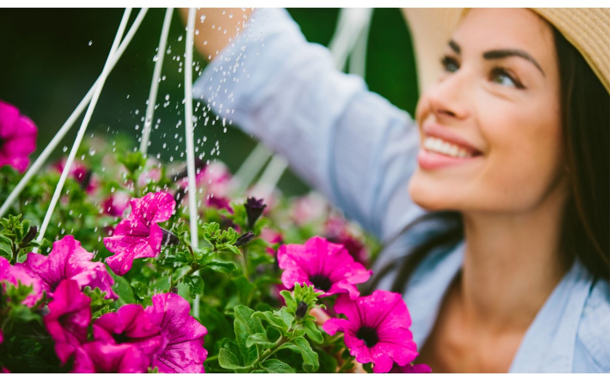 10 plantas con flores para regalar por cumpleaños 