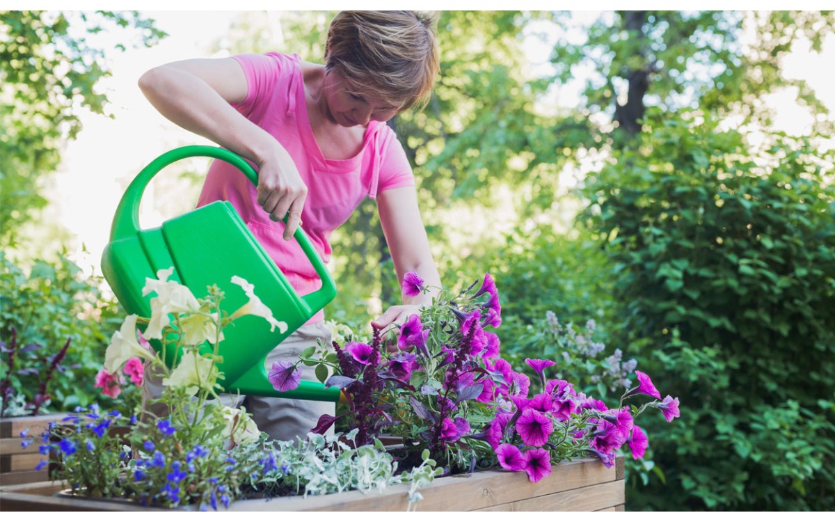 25 plantas de exterior que son perfectas para tu jardín o patio