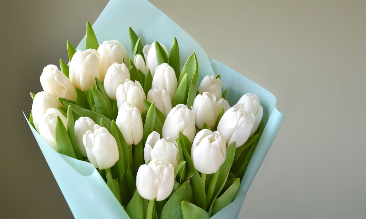 Top 200+ tulipanes de regalo