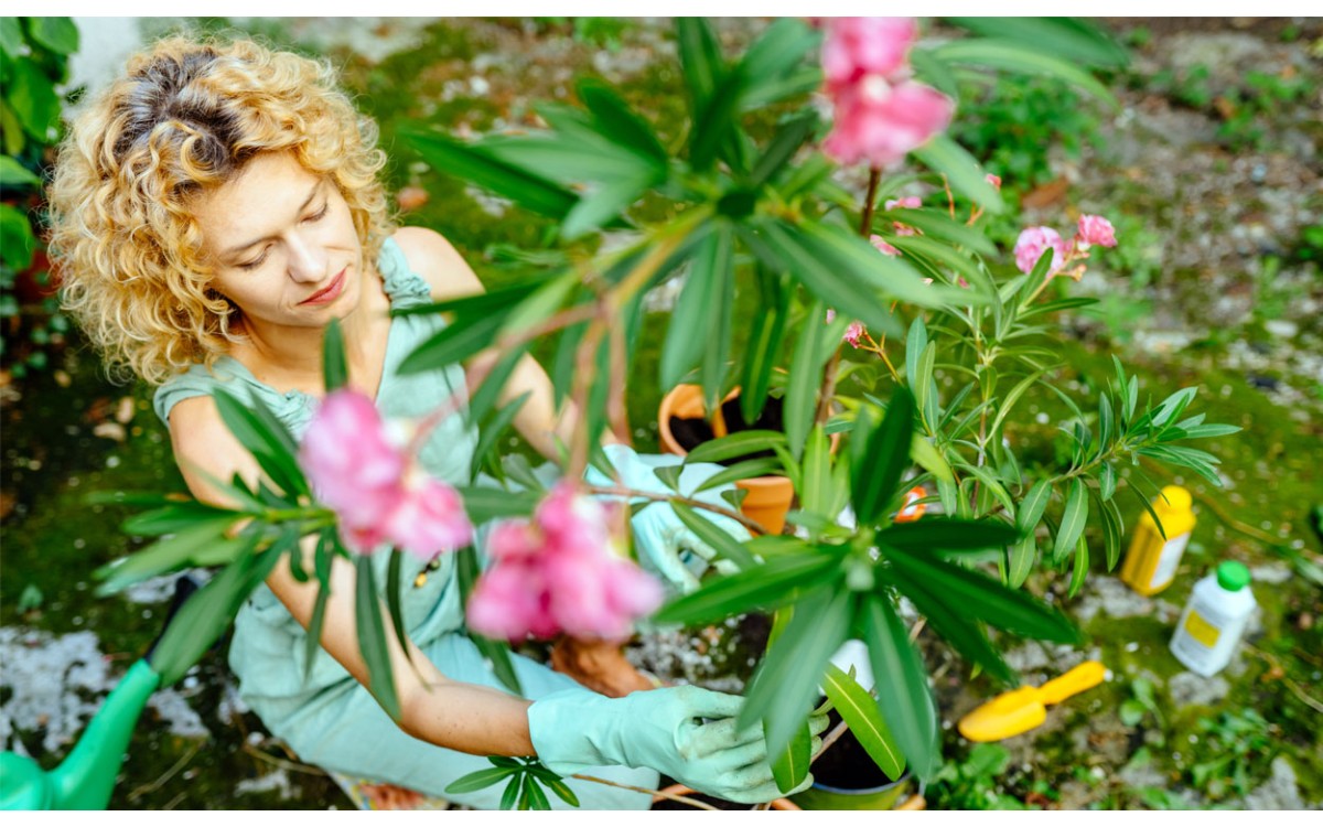 8 sencillos pasos para crear un jardín trasero romántico