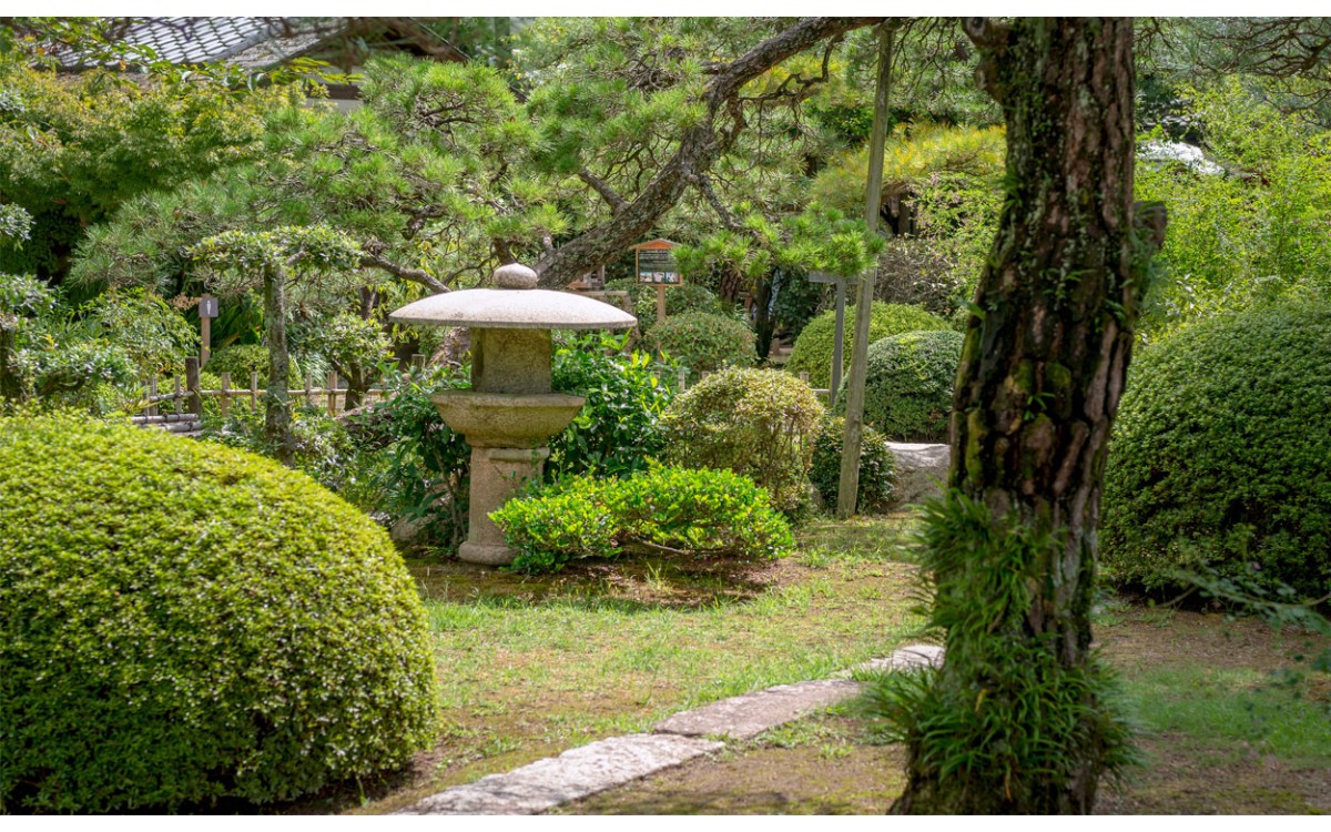 Aprendiendo a crear jardines de estilo Tsukiyama