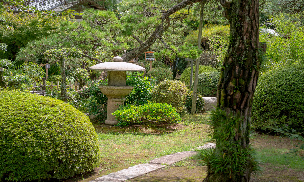 Jardín zen: cómo crearlo, tips y recomendaciones - Blog de paisajismo