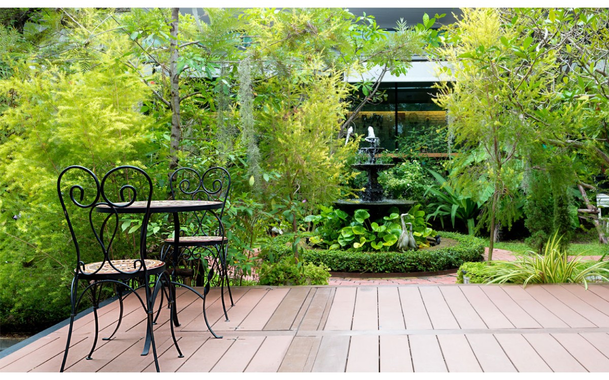 Cómo añadir altura y color a tu jardín con plantas altas de exterior