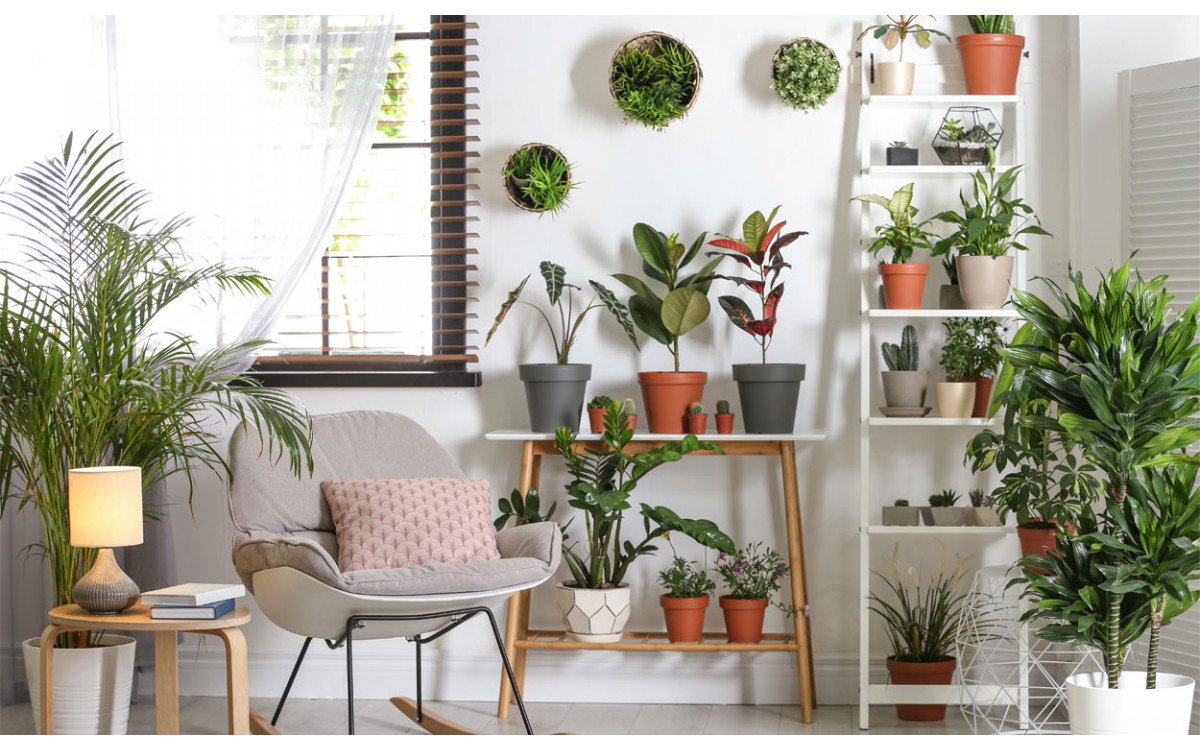 Como incorporar plantas de interior en la decoración de tu hogar