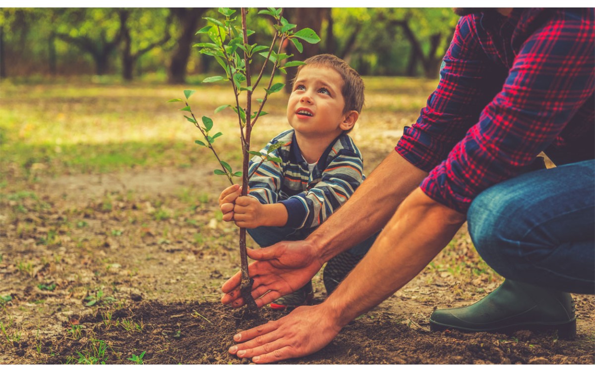 Cómo las plantas pueden mejorar tu vida