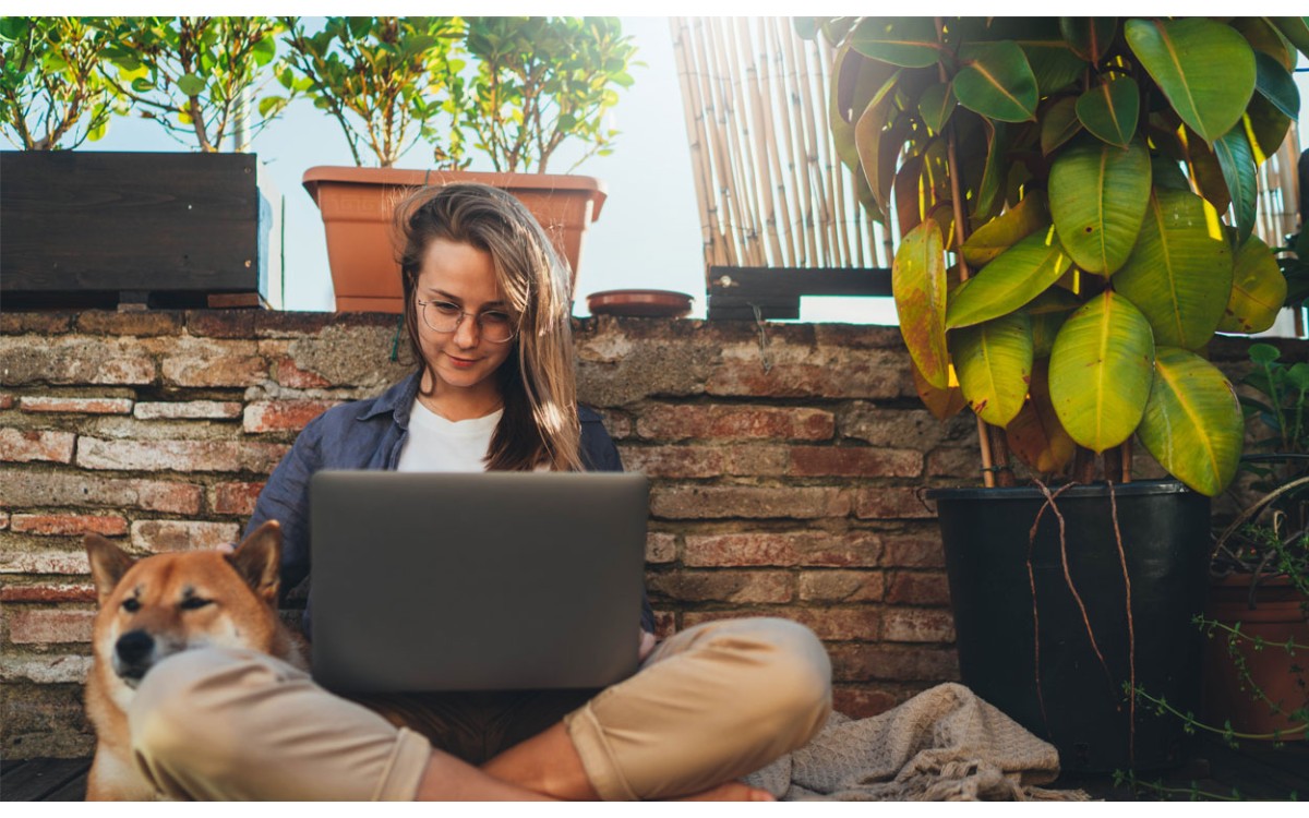 Cuatro de las mejores formas para comprar plantas online en Madrid