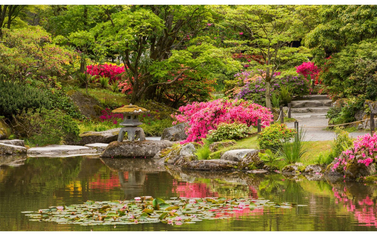 Cómo crear un jardín zen