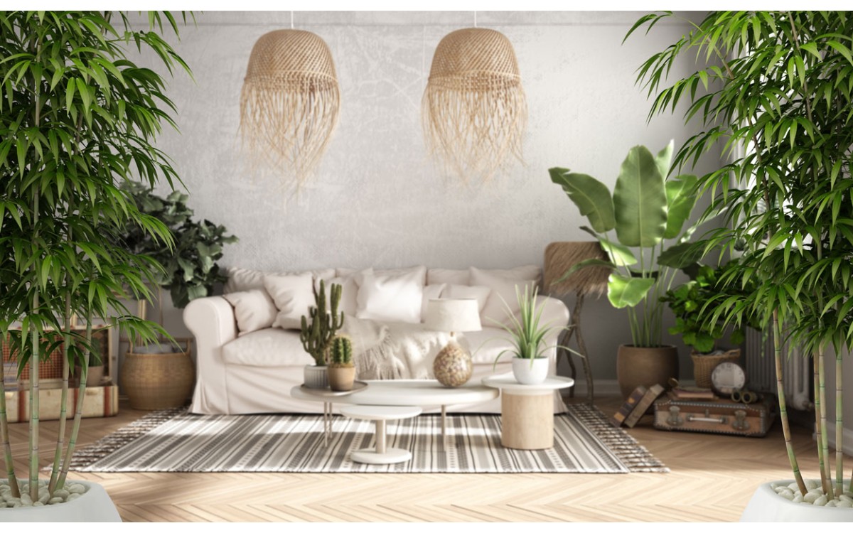 Cómo mejorar el Feng Shui con plantas de interior en tu hogar