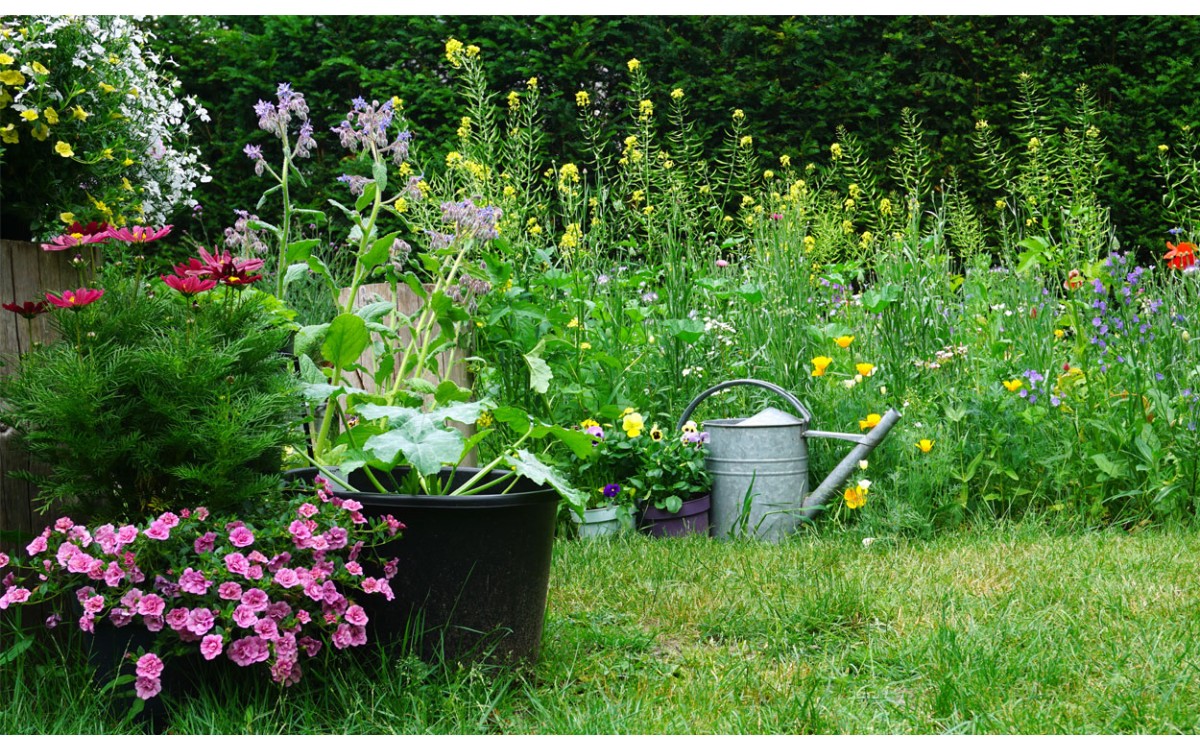 Dale a tu jardín un aspecto salvaje poniendo un rincón de plantas aromáticas