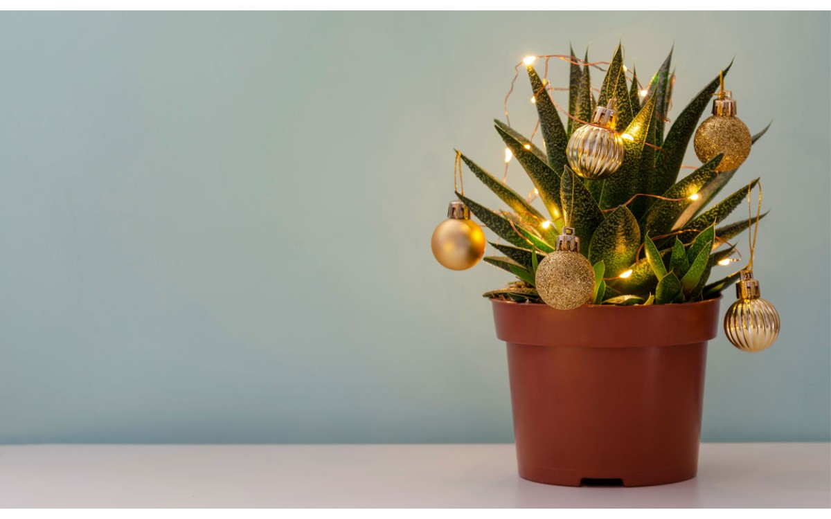 Decora con un cactus de navidad