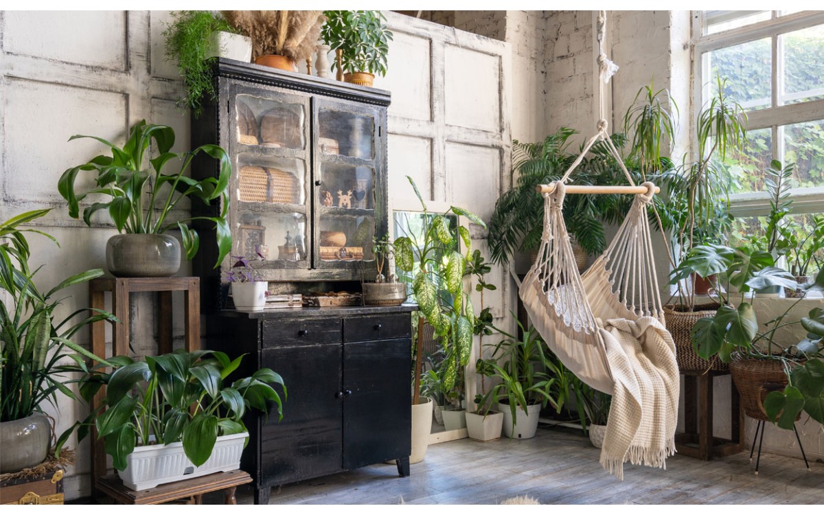 Esta colección de plantas de interior refrescan sus habitaciones y bajan la temperatura en el hogar