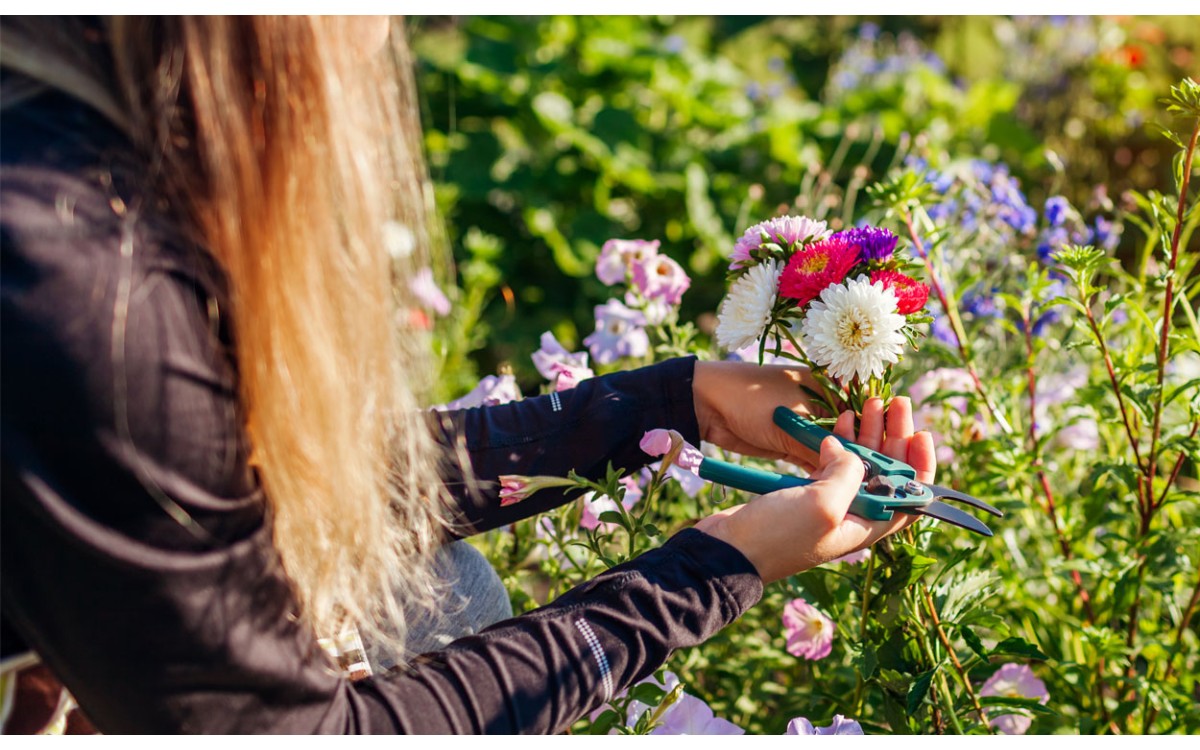 Estas flores de verano son las mejores para crear ramos de flores de larga duración