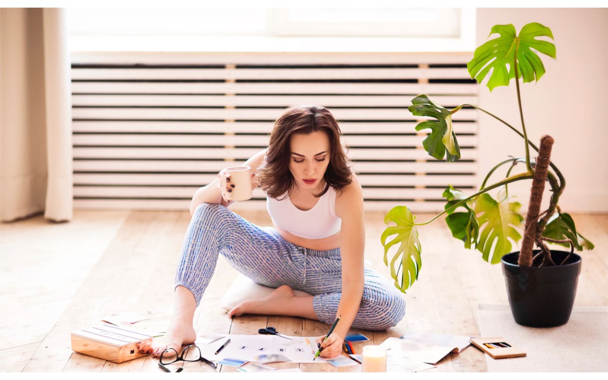 Feng Shui con plantas de interior