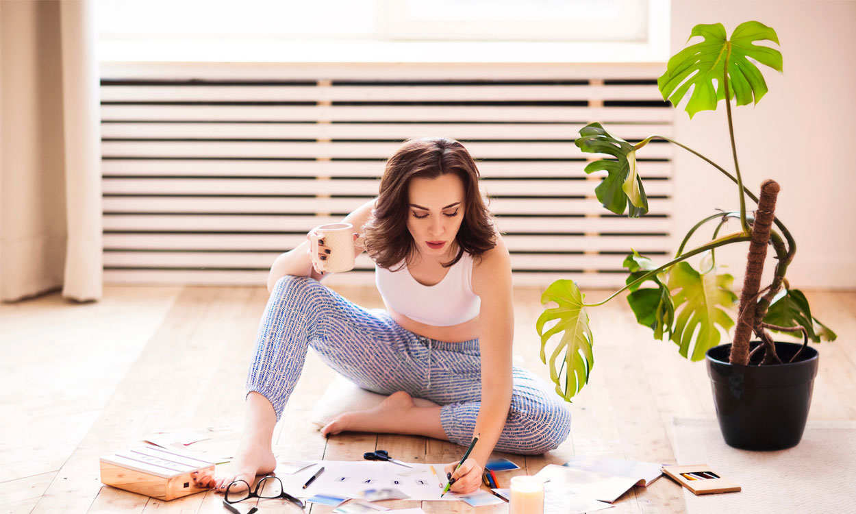 Feng Shui con plantas de interior