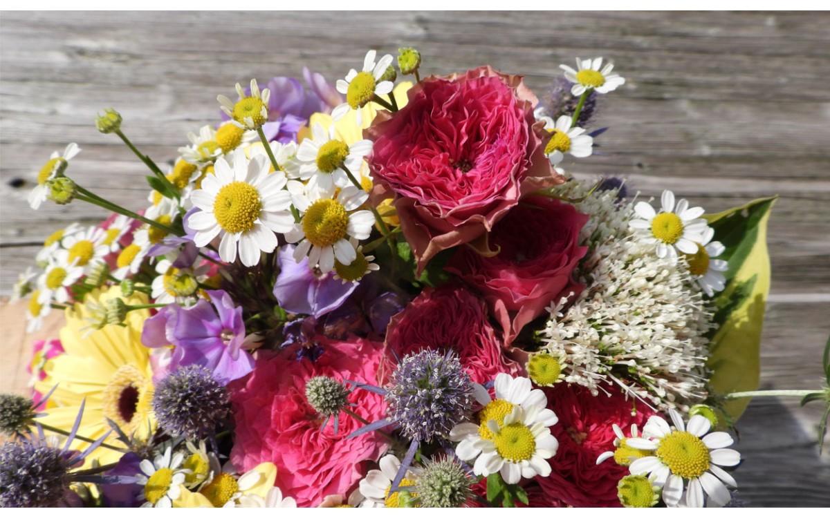 Flores de primavera para adornos o centros florales