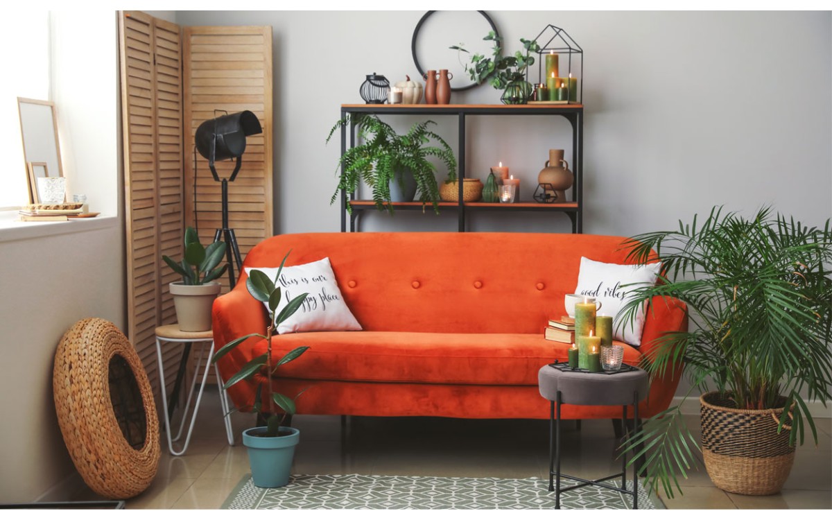 Ideas para decorar tu hogar con plantas