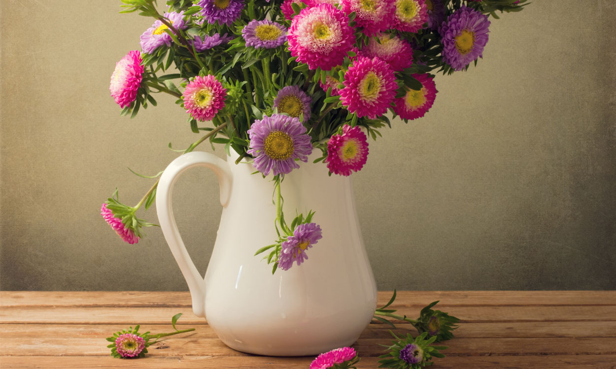 Las Flores que más tiempo durarán en los jarrones y floreros Las Flores que más tiempo durarán en los jarrones y floreros