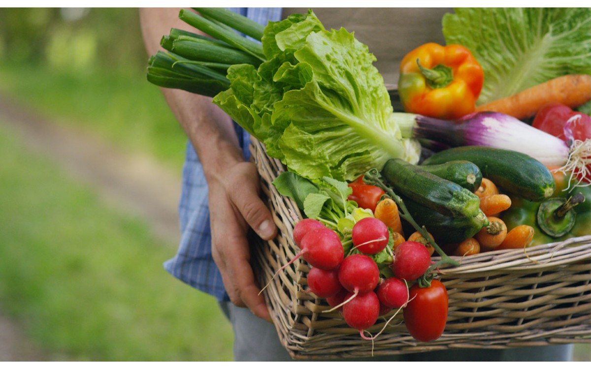 Las frutas, lo más delicioso y aromático de la naturaleza vegetal