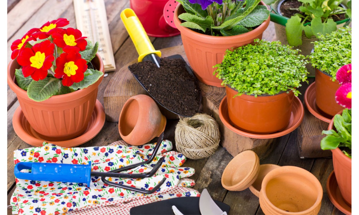 Macetas e complementos de jardinería