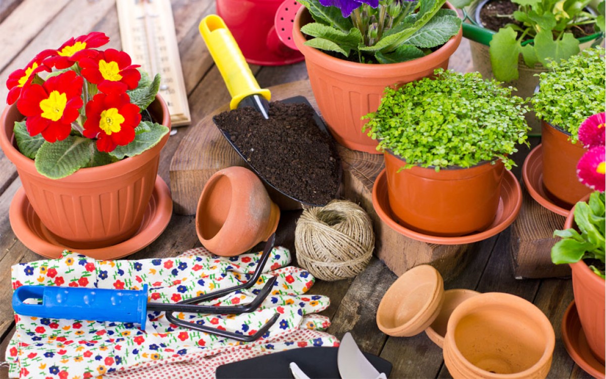 Macetas e complementos de jardinería