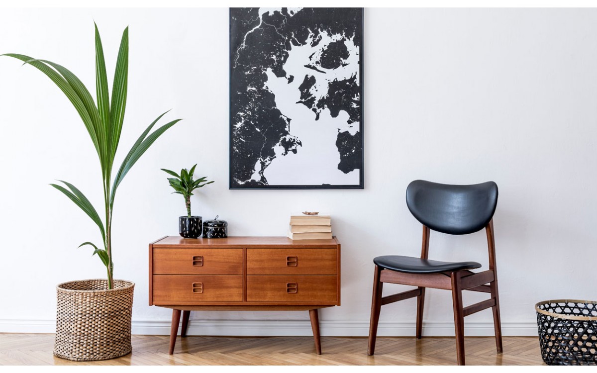 Plantas para decoración vintage