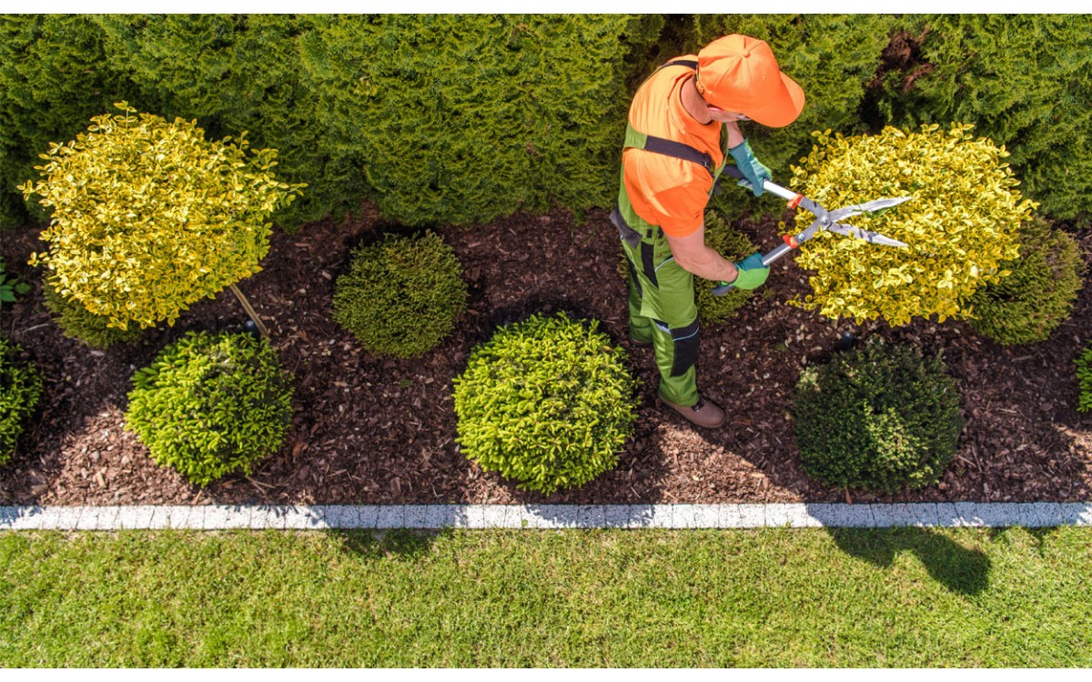 ¿Qué tipos de jardines existen?