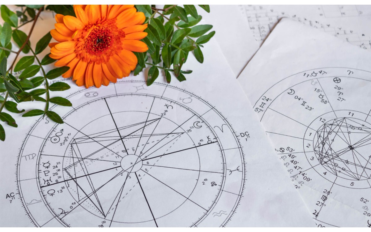 Tu signo zodiacal determinará la planta que elijas