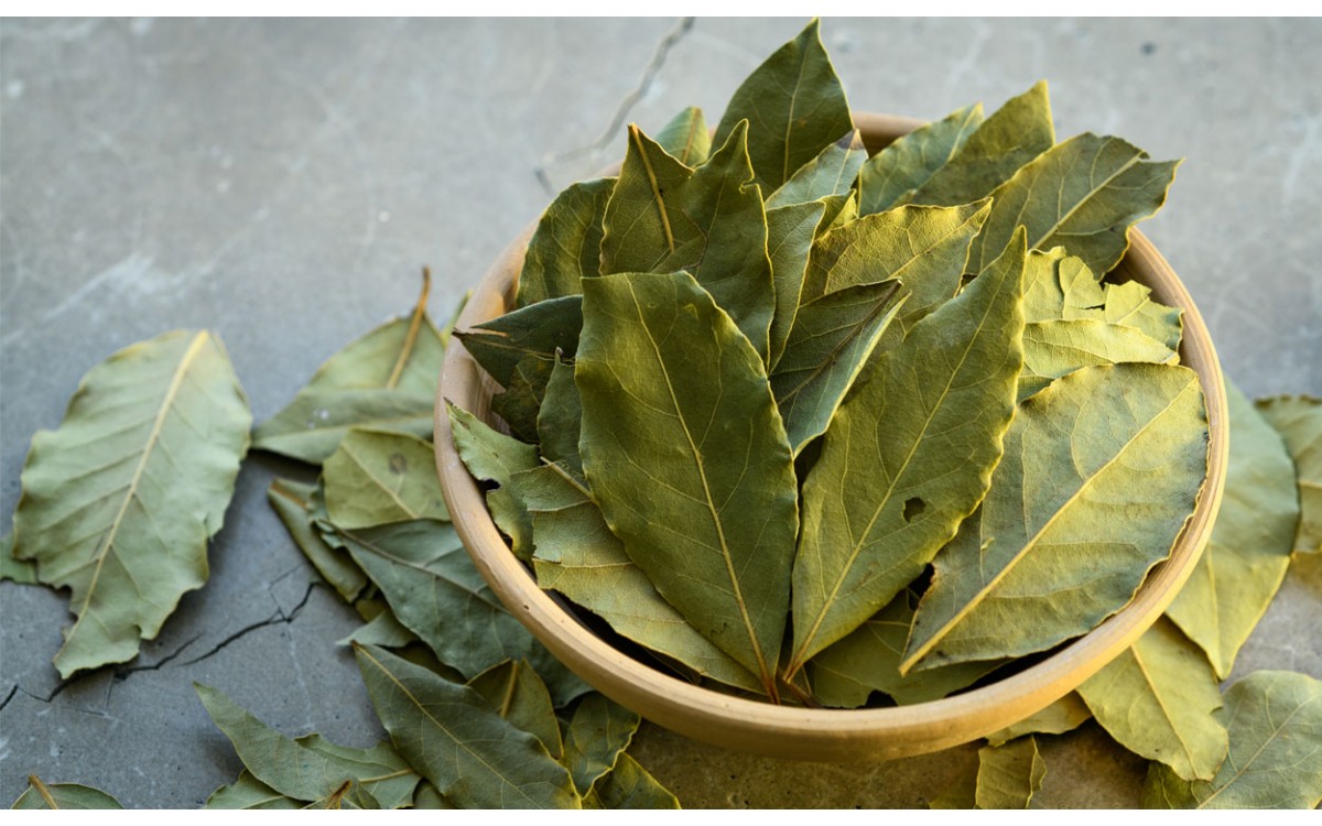 Una planta de cocina, el Laurel