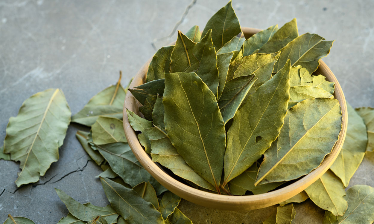 Una planta de cocina, el Laurel