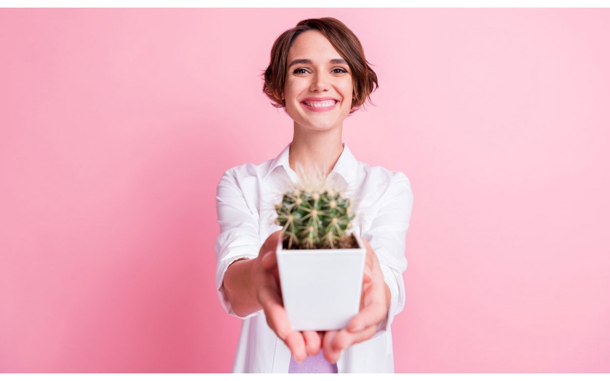 Variedades de cactus más solicitadas, ideales para regalar