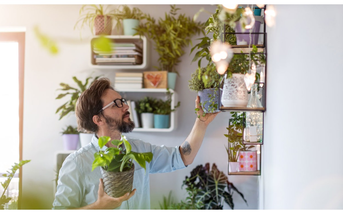 9 cosas esenciales que todos los amantes de las plantas deben saber