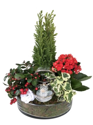 Centro de flores de pascua en cristal 2