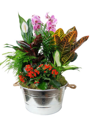 Centro de plantas en latón