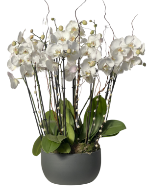 Orquídeas blancas decoradas en cerámica 