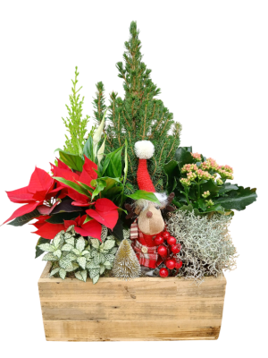 Centro de navidad  decorado 2