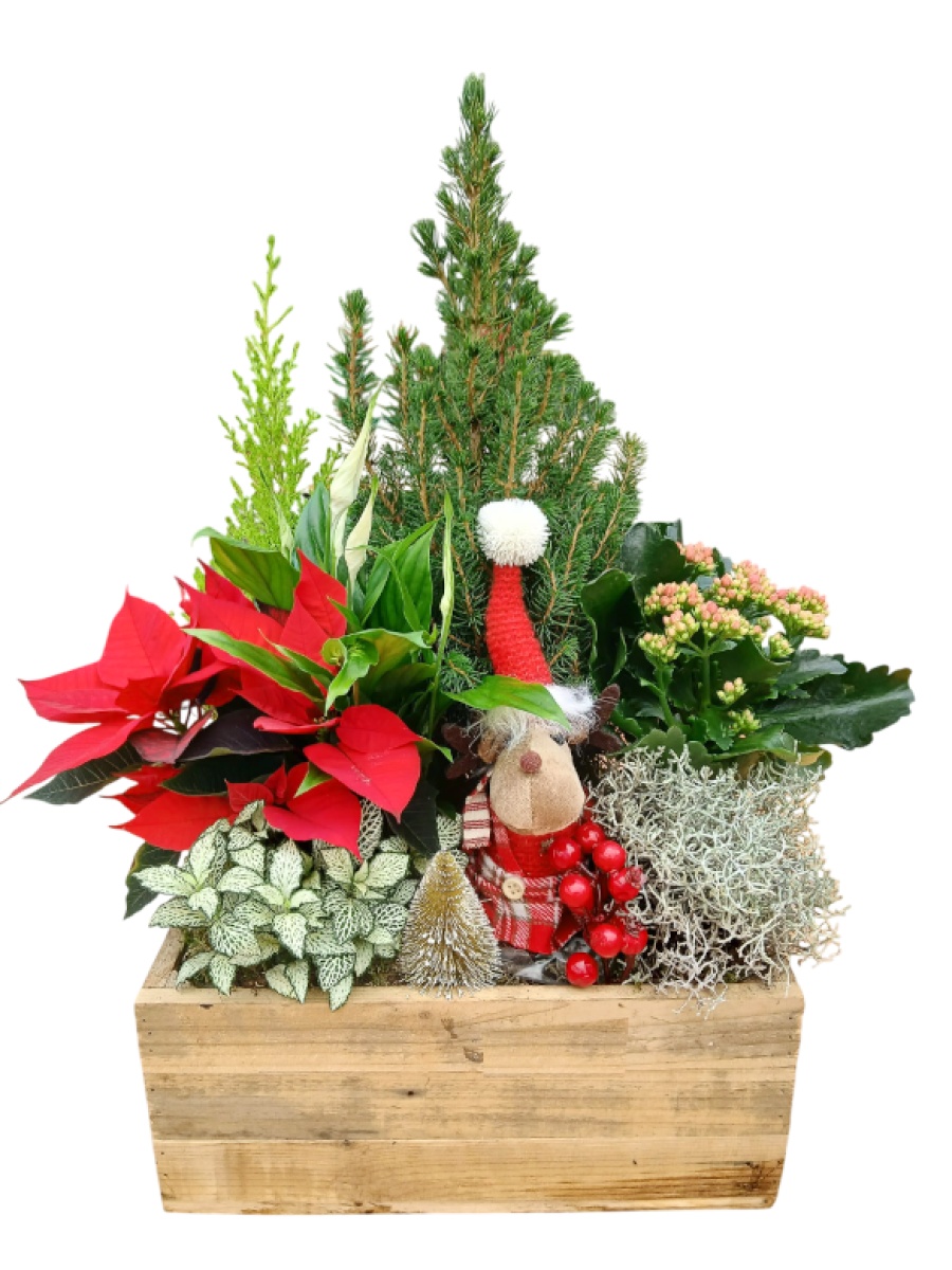 Centro de navidad  decorado 2