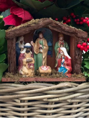 Belén en centro de flor de pascua (DISPONIBLE SOLO PARA MADRID) Belén en centro de flor de pascua (DISPONIBLE SOLO PARA MADRID)