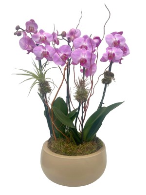 orquídeas rosas decoradas en cerámica 