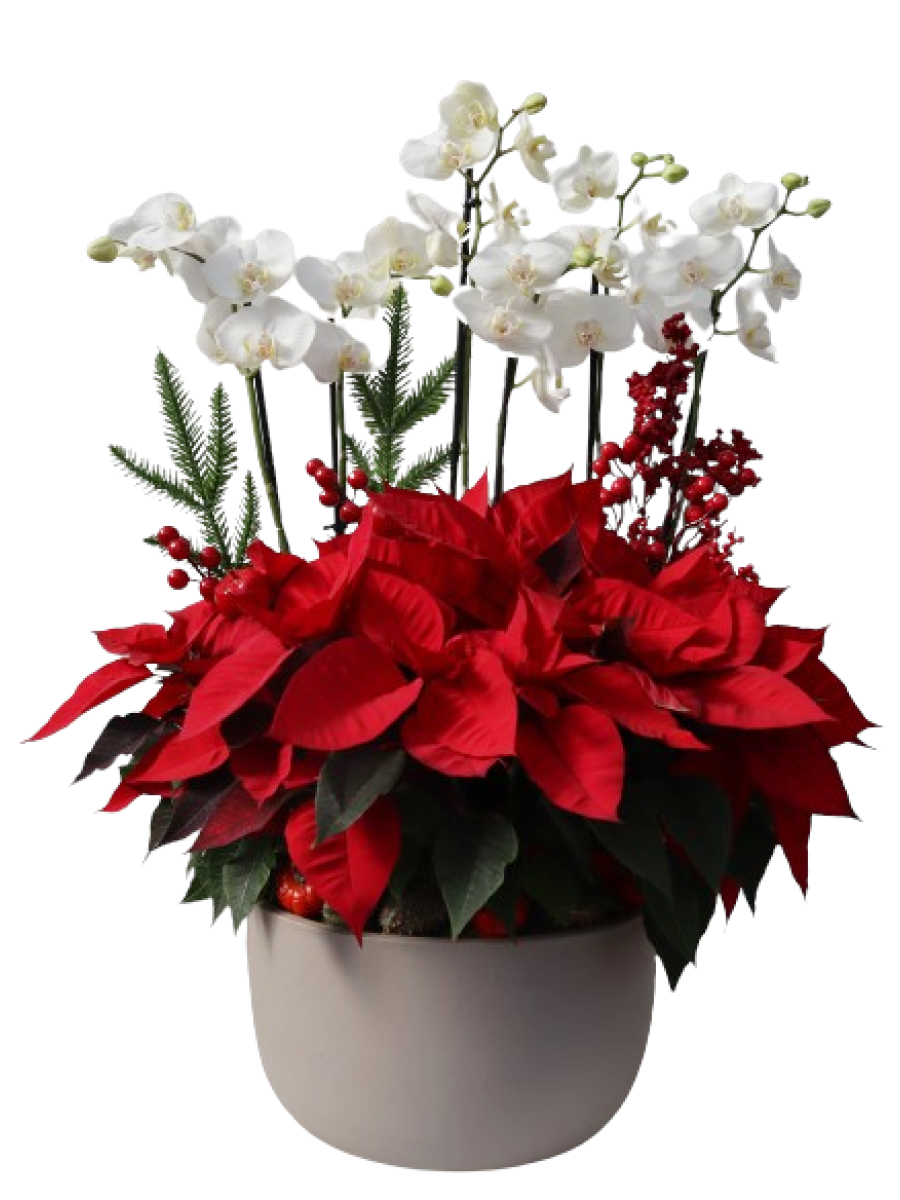 Centro de flores de pascua con orquideas Centro de flores de pascua con orquideas