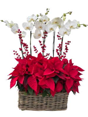 Cesta de flores de pascua con orquideas