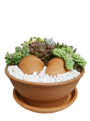 Centro decorado de crasas en cerámica 